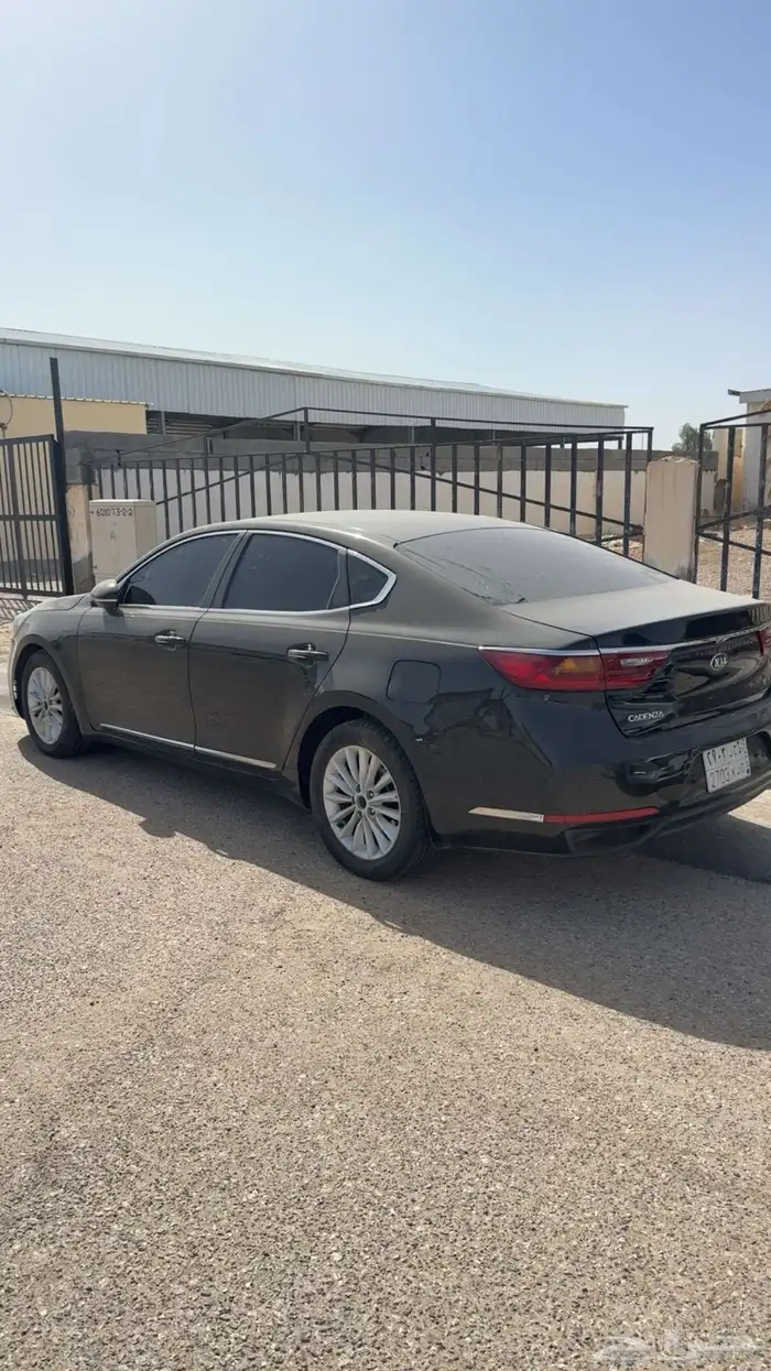 كادينزا 2018 2