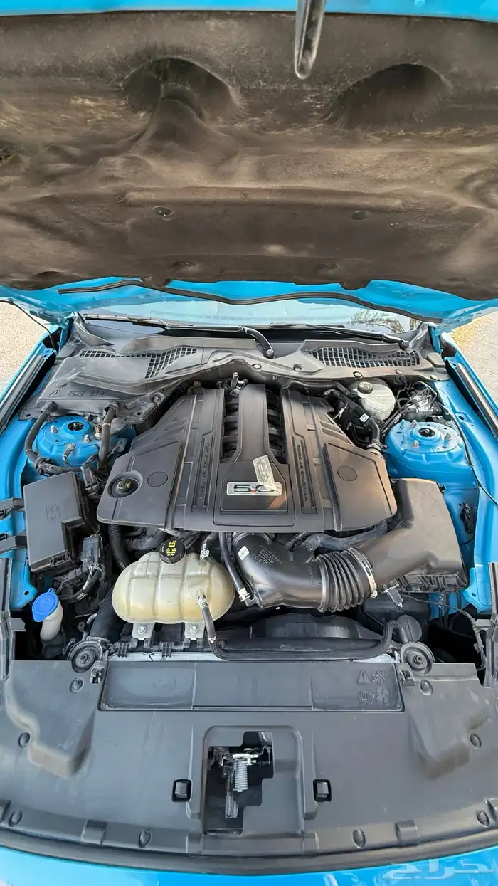 موستنج GT2022خليجي 13