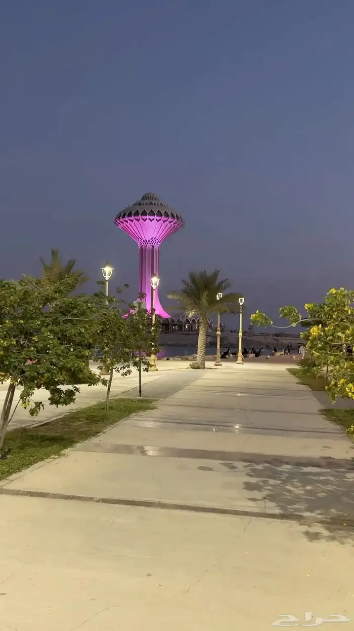 مطلوب شقة او دور عزاب ب الخبر الشماليه او بالقرب منها 0