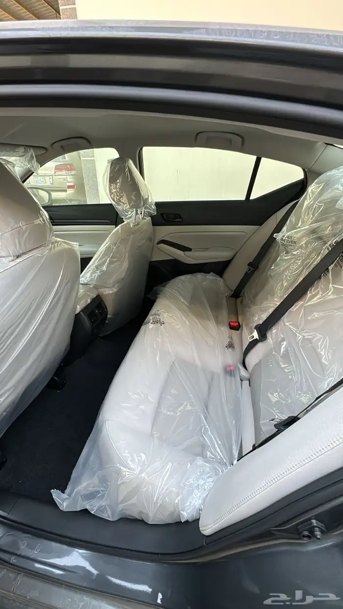 التيماء ستاندر 2026 9