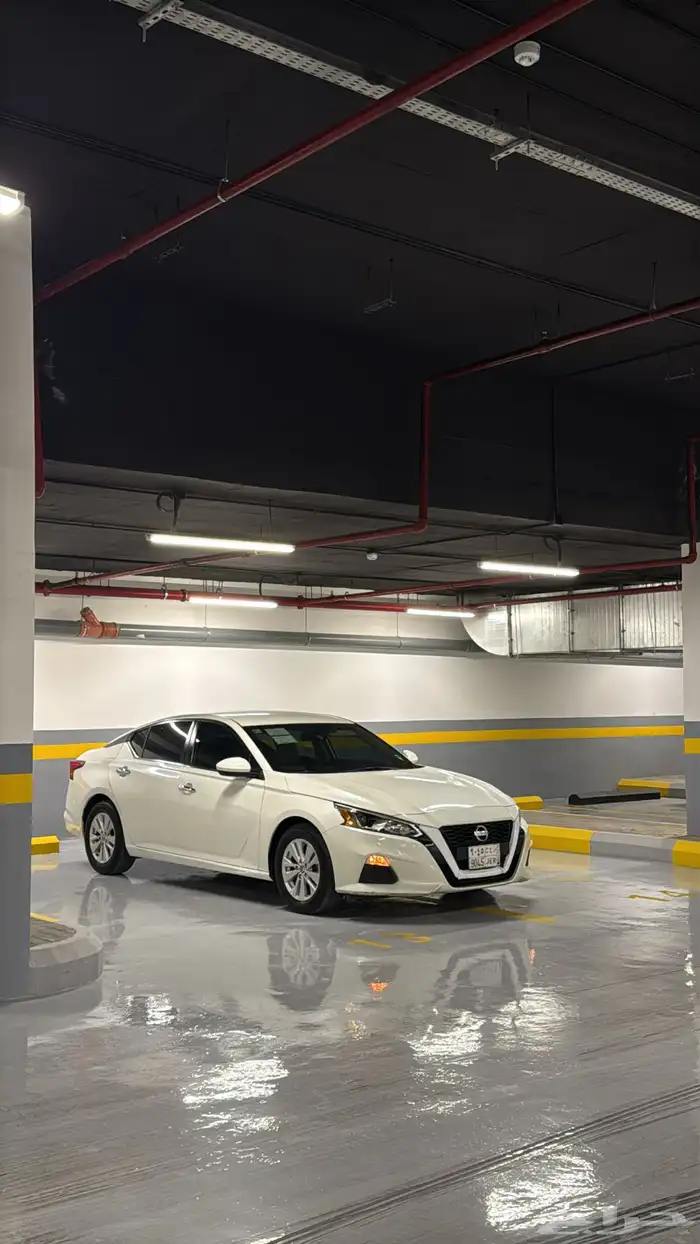 التيما 2020 S 79