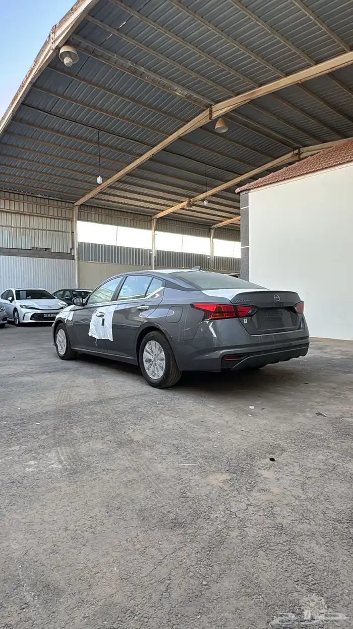 التيماء ستاندر 2026 5