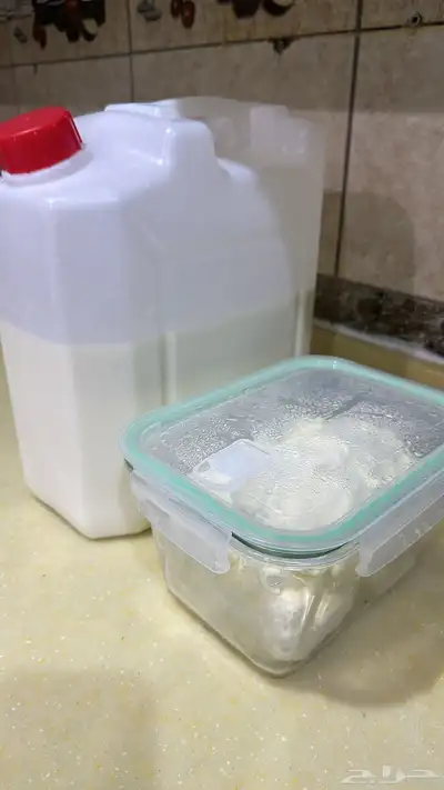 لبن بقر للبيع 0