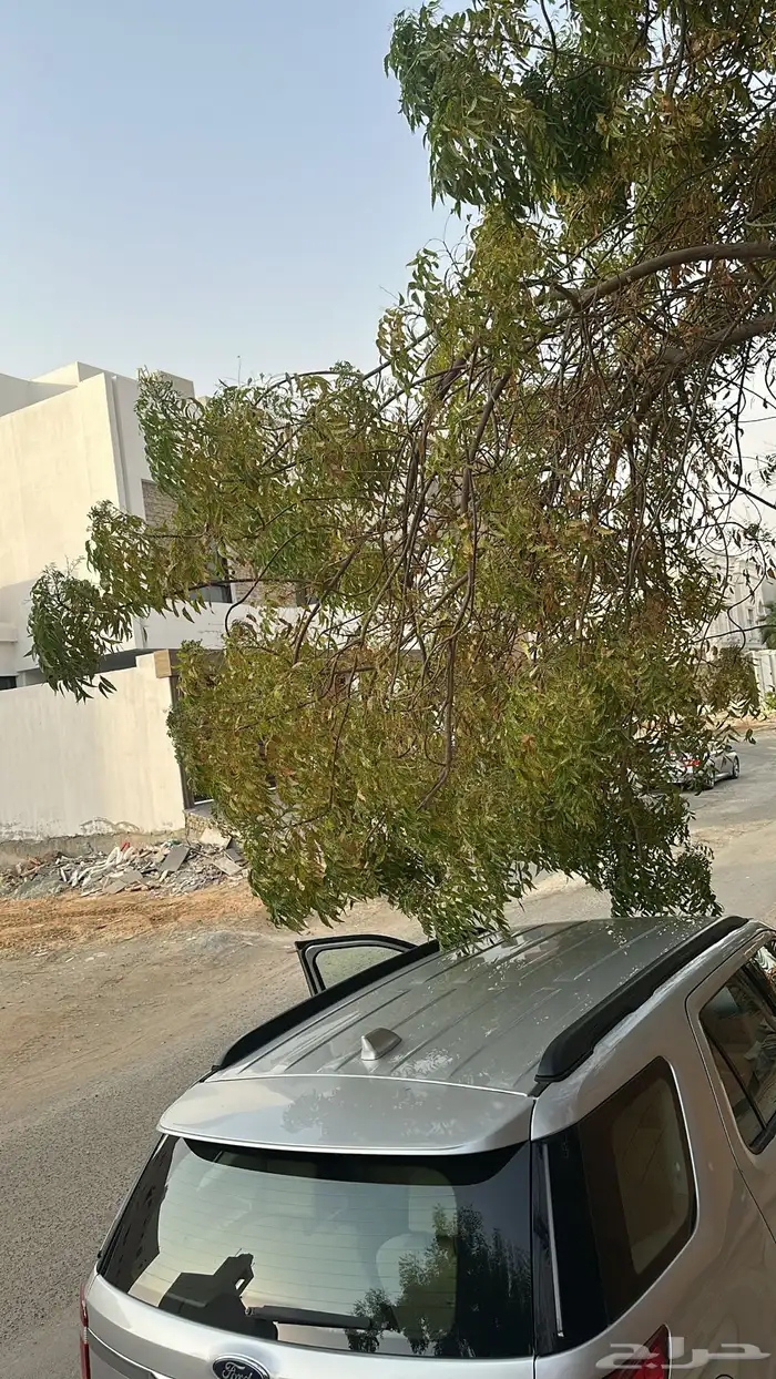 فورد اكسبلورر توكيلات الجزيرة 2016 10