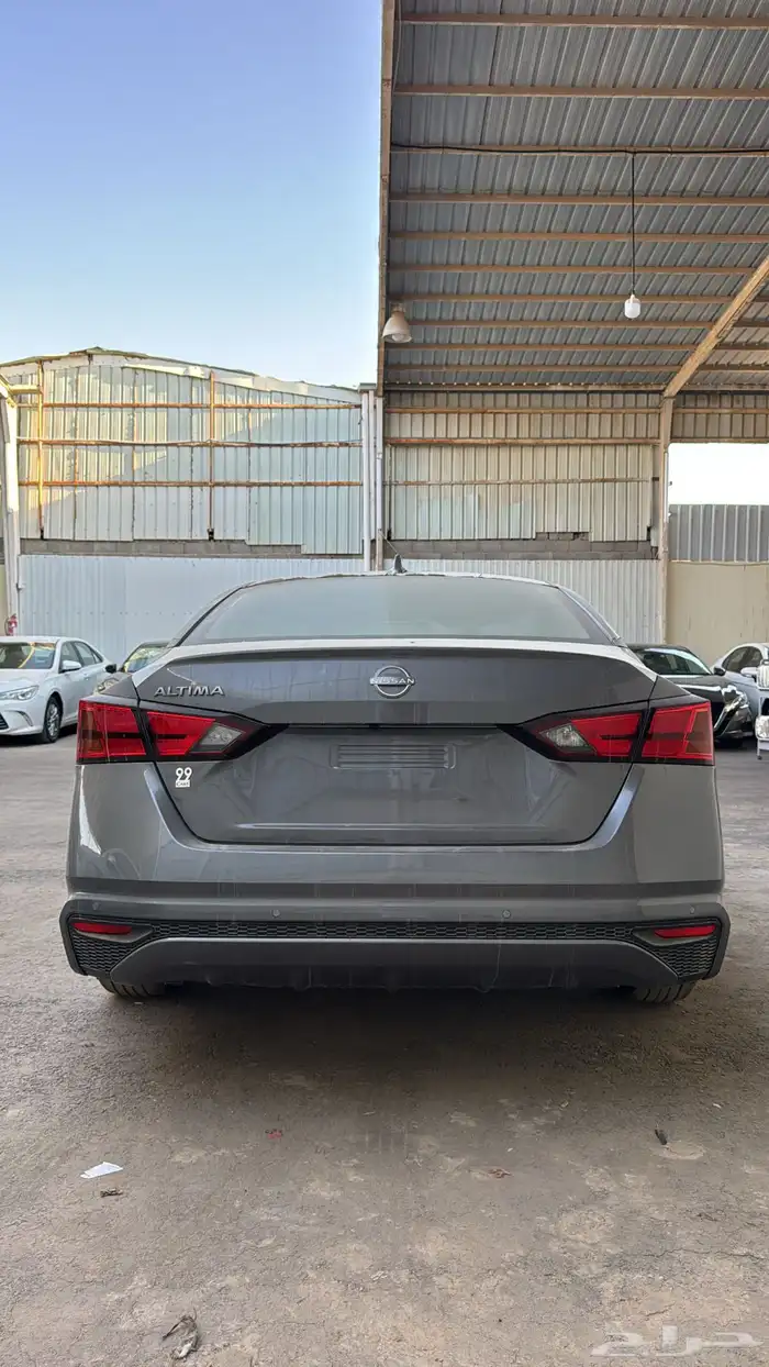 التيماء ستاندر 2026 6