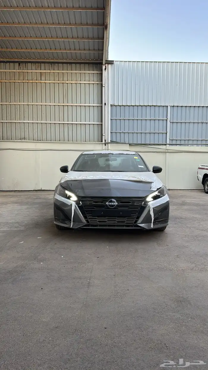 التيماء ستاندر 2026 1