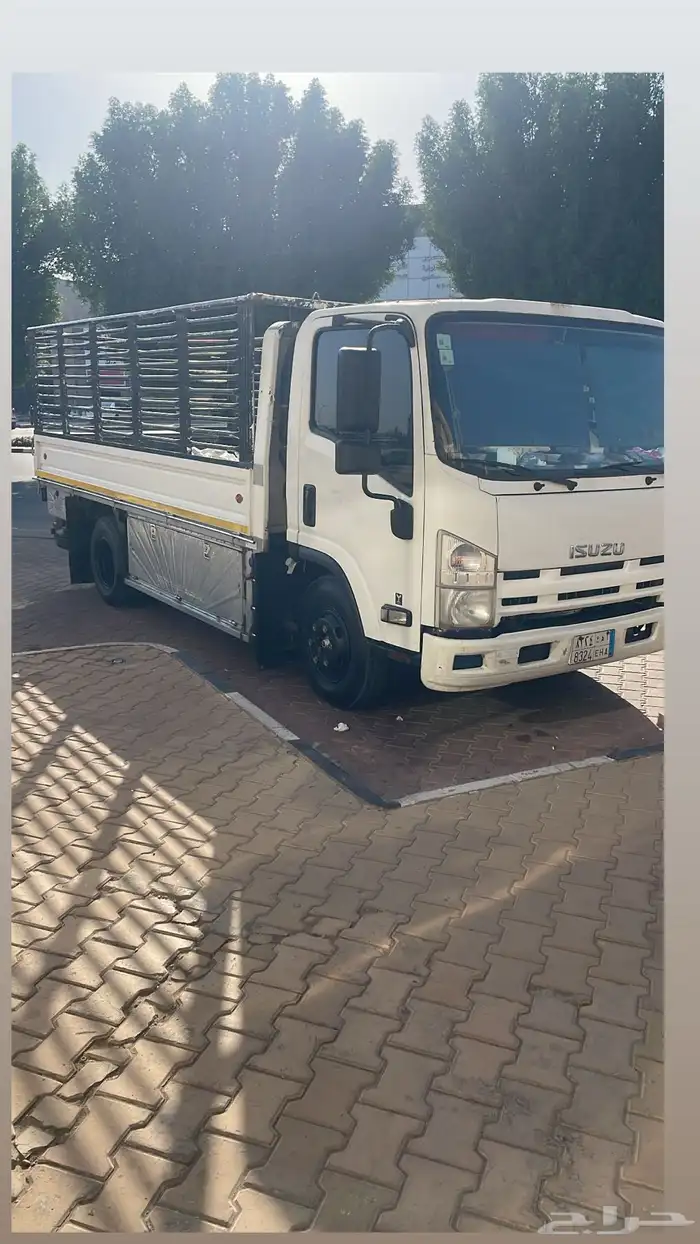 دينا نقل عفش 0