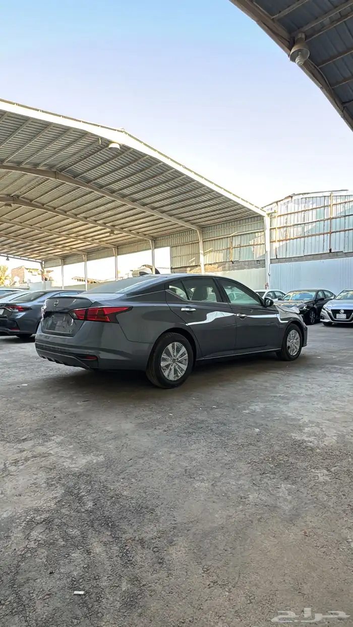 التيماء ستاندر 2026 7