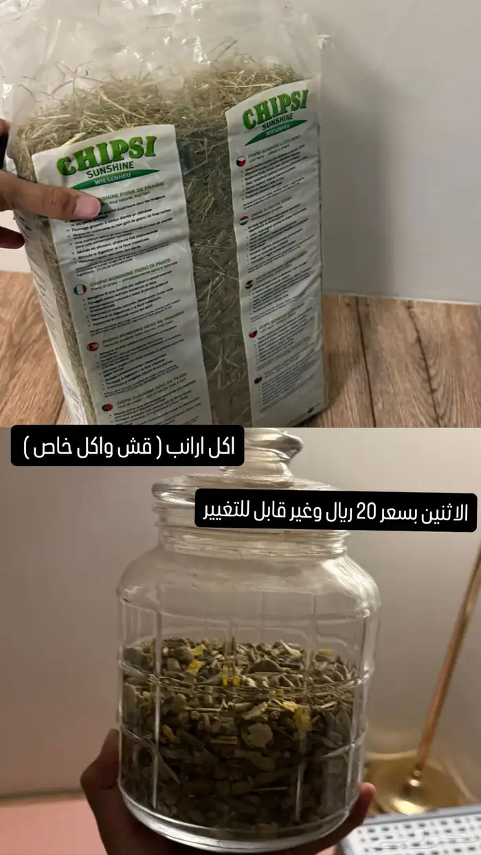 اغراض قطط للبيع 2