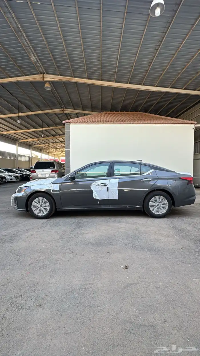 التيماء ستاندر 2026 4