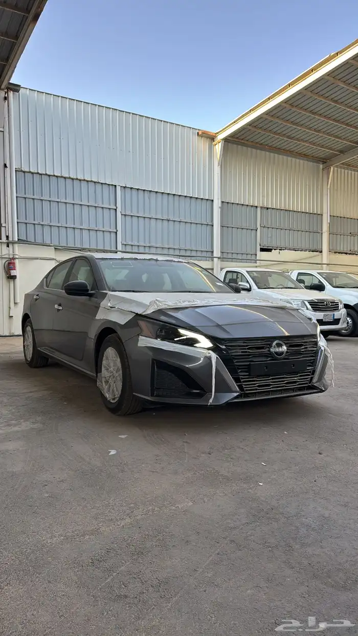 التيماء ستاندر 2026 2