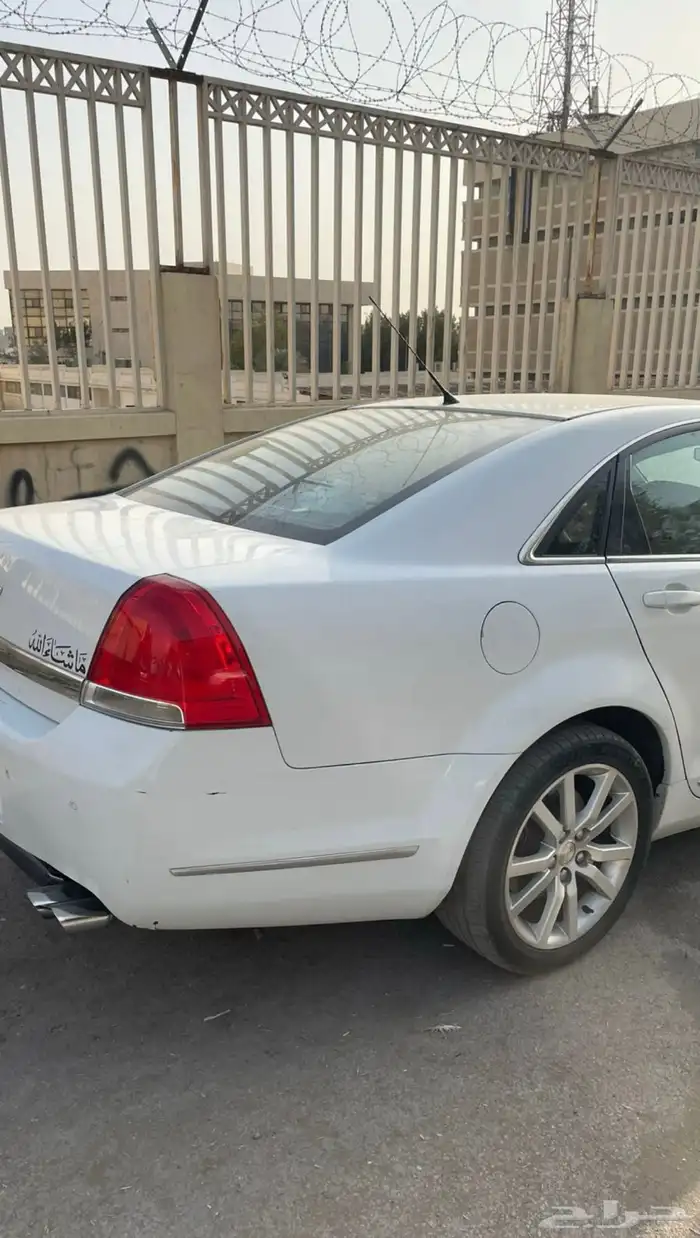 كابرس 2012 5