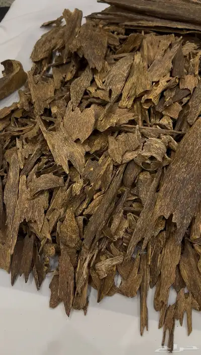 عود بانكا طبيعي اندونيسي index