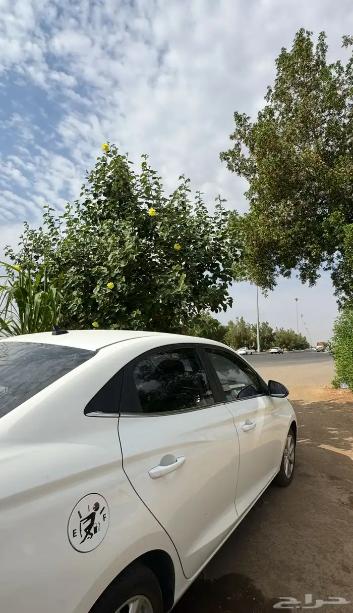 سيارة شانجان 2022 3