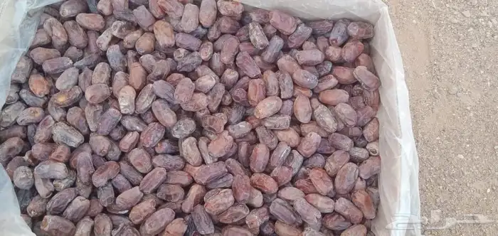 تمور أعلاف لحلال 0