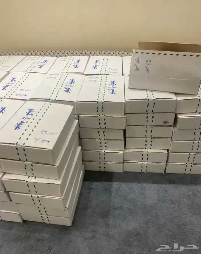 تمور حائل الفاخره 6