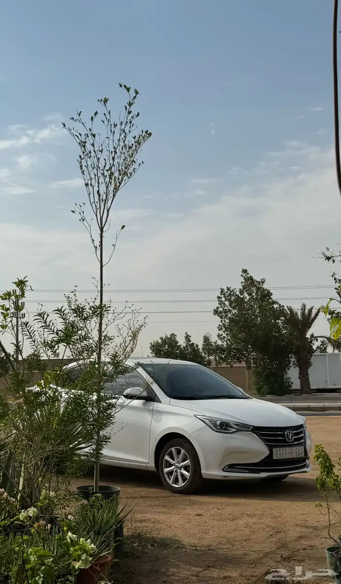 سيارة شانجان 2022 1