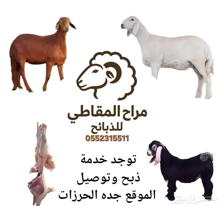 للبيع ذبايح حريه 0
