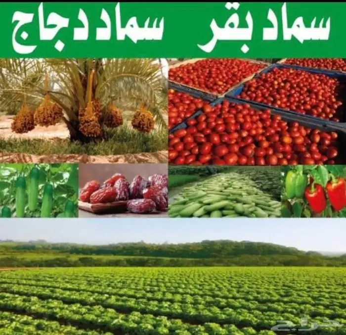سماد بقره سماد دجاج 0