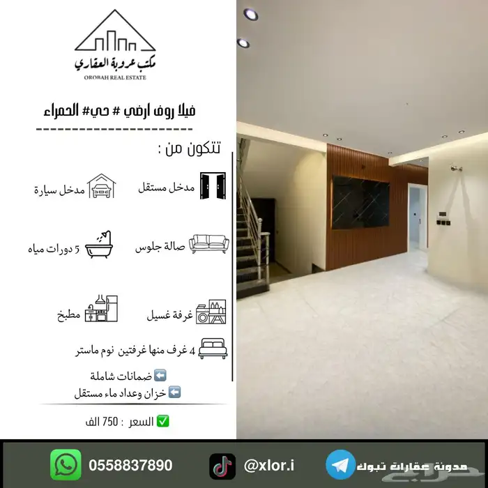 للبيع فيلا روف ارضي تمليك تبوك حي الحمراء 0