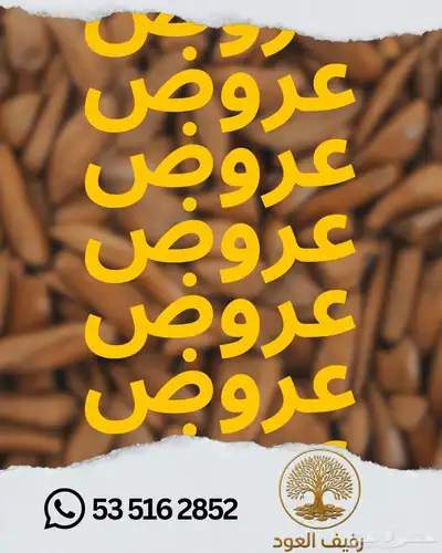 عود الموروكي المحسن اشتري واحد الثاني مجاني index