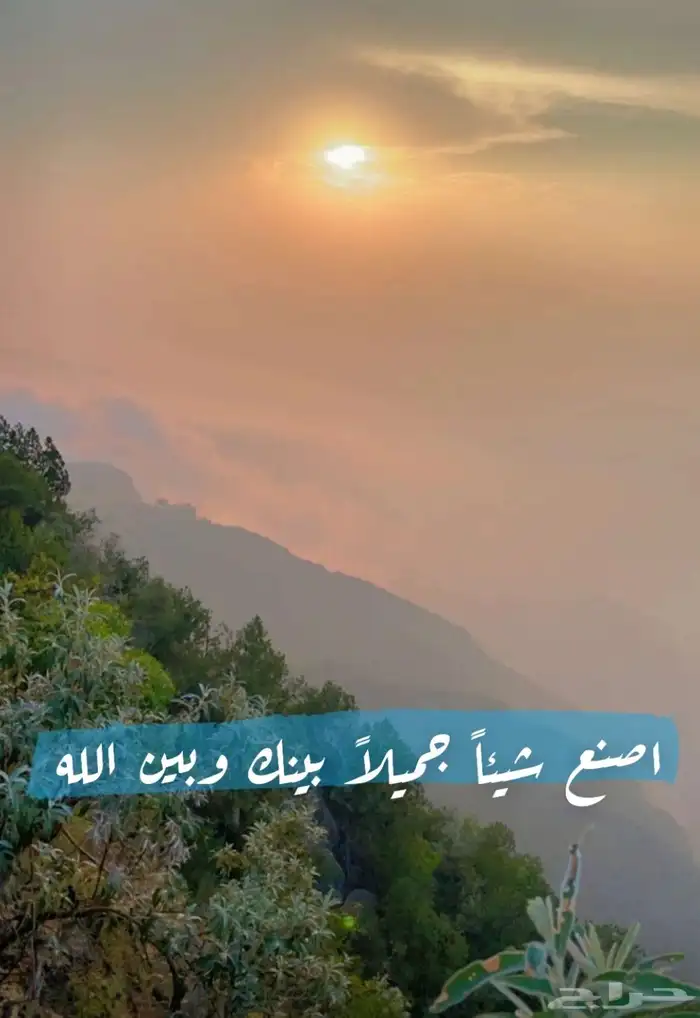 استشارات قانونية مجانا لوجه الله تعالى 0