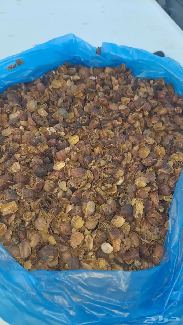 قشرسعر الكيس400وزن 48 0