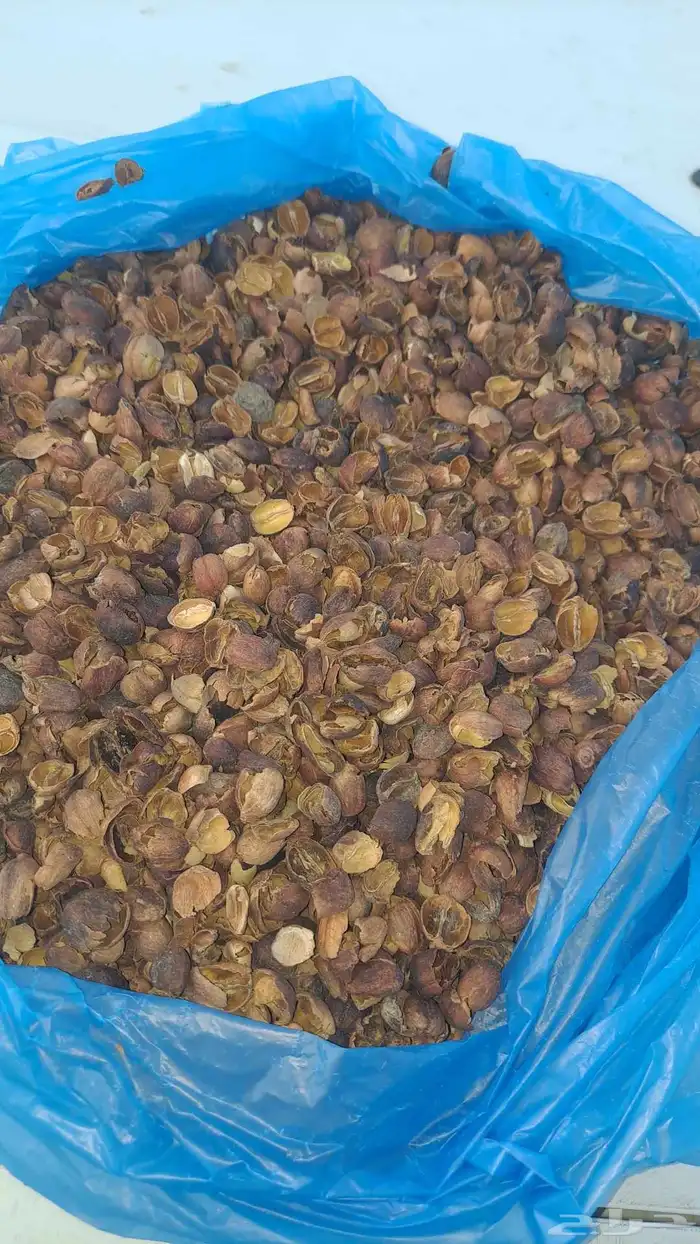 قشرسعر الكيس400وزن 48 1