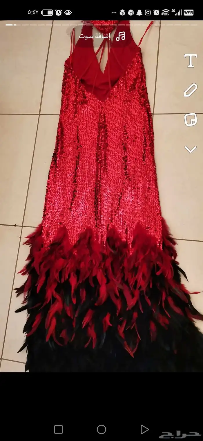 فستان للبيع من الترتر والريش 3