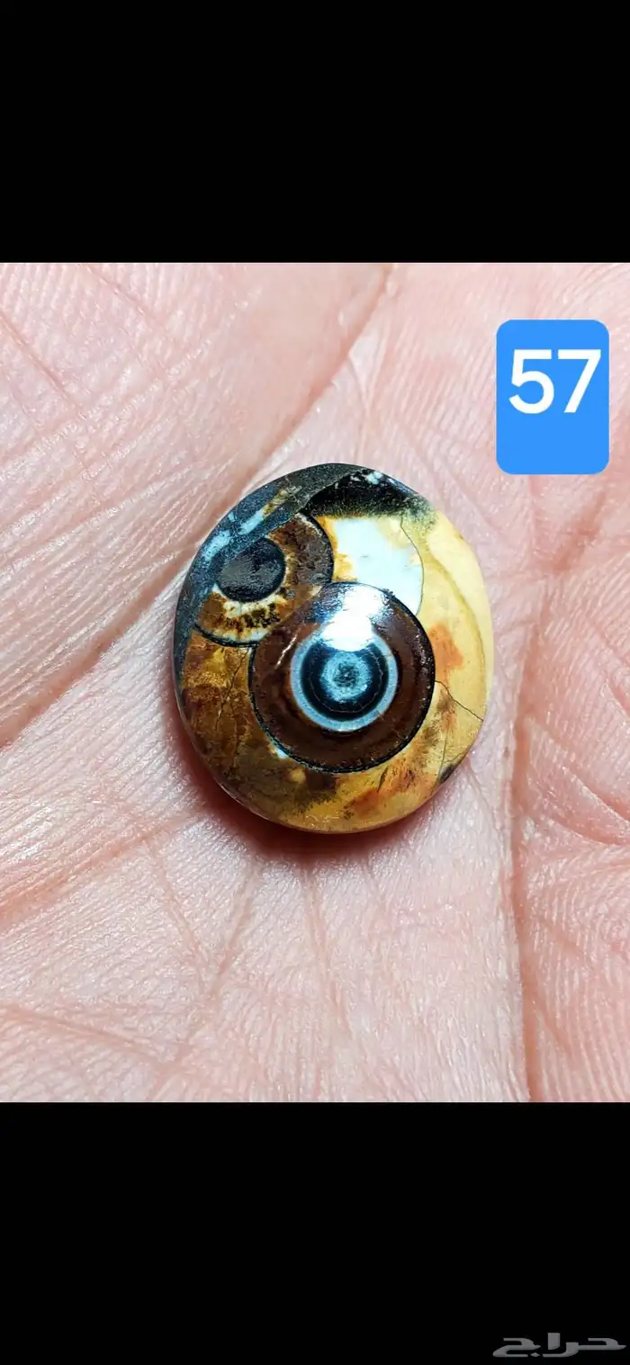 لعشاق الداوودي عقيق يماني فص داودي نوادر طبيعي 39