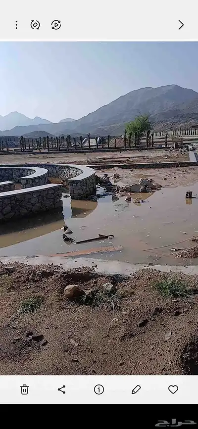 مكه  جده  الطايف نجران  القصيم   يتوفر لدينا جميع النخيل index
