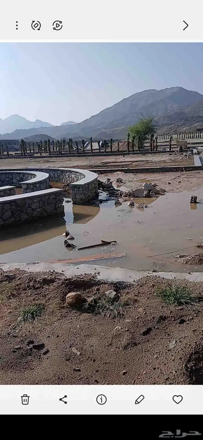 مكه  جده  الطايف نجران  القصيم   يتوفر لدينا جميع النخيل 2