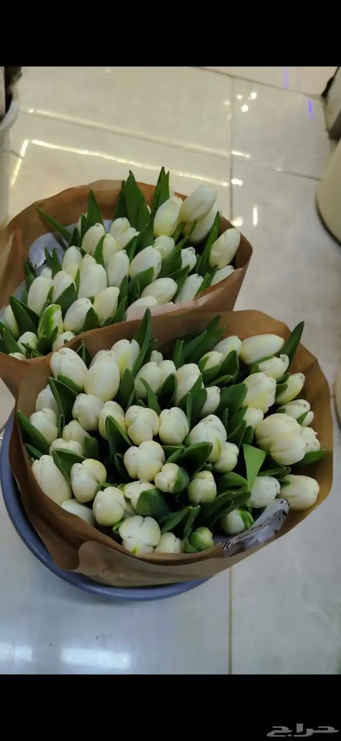 ورد هدايا باقات محل ورد باقات كبيره بوكيهات كبيره ورد كبير 8