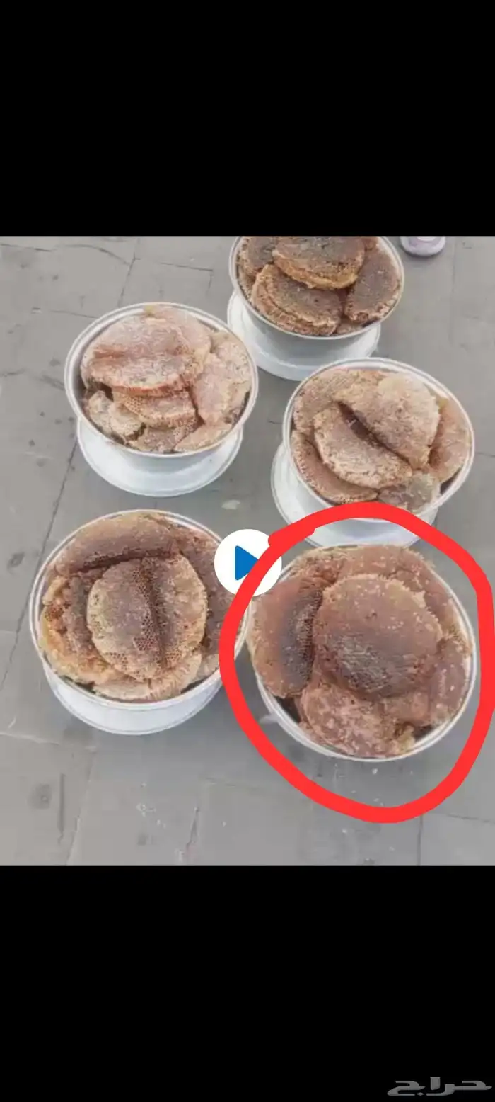 عسل طبيعي بلدي متنوع 11