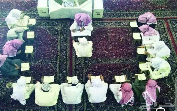 معلم و معلمة قران عن بعد حلقه تهتم للتجويد 0