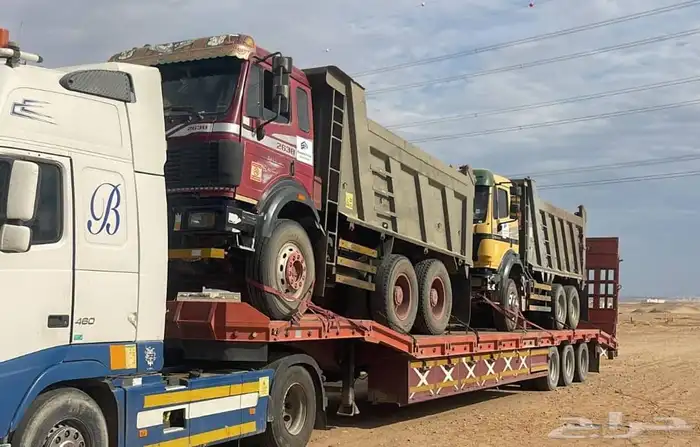 لوبد متواجد في الرياض 0