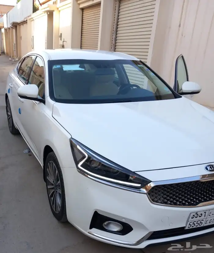 كادينزا 2020 4