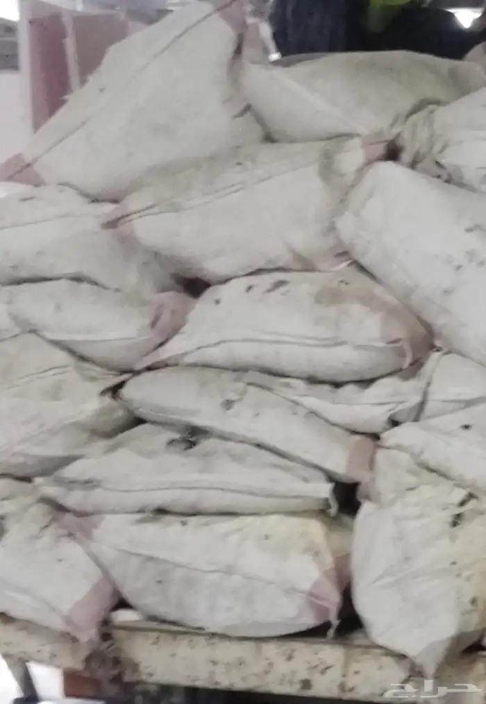 دينا قلاب لجميع مواد البناء ونقل المخلفات 10