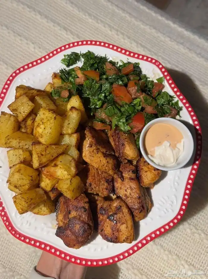 توزيع وجبات صدقة مغلفة( ابيع) 5