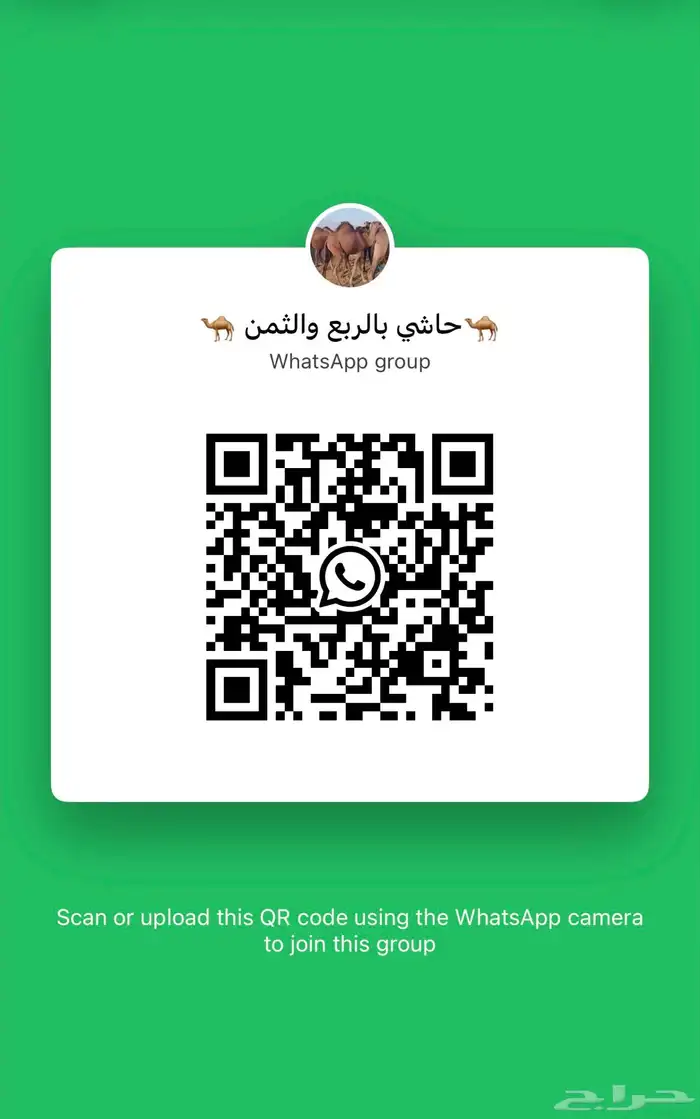 قروب لبيع الحاشي البلدي بالربع والثمن بالجموم 1