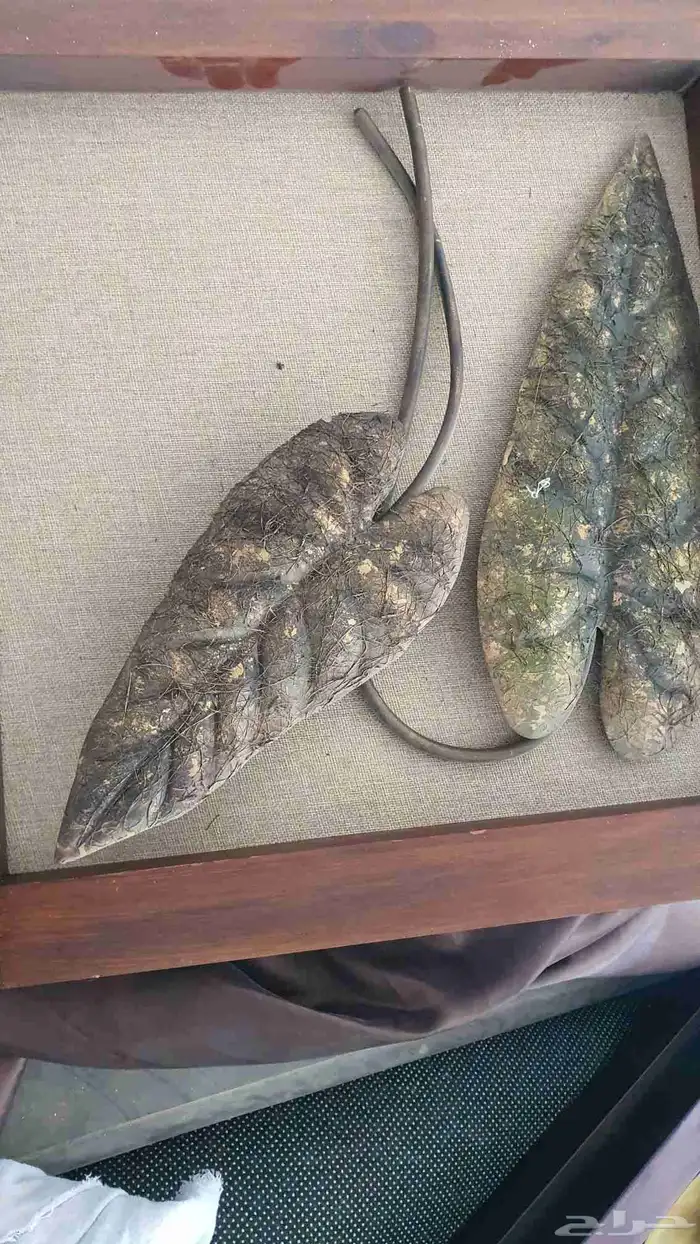 تحف وطاولات ولوحات 0