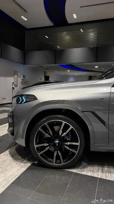 BMW X6 index