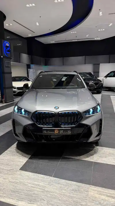 BMW X6 index