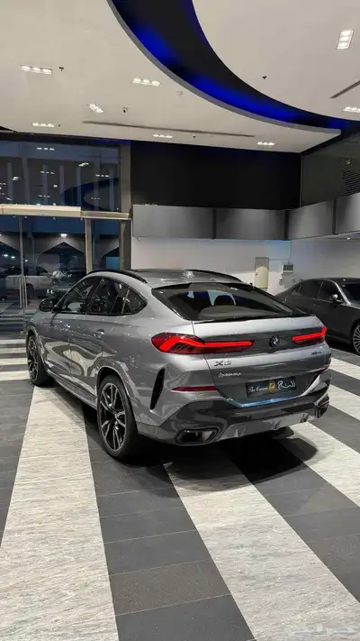 BMW X6 index