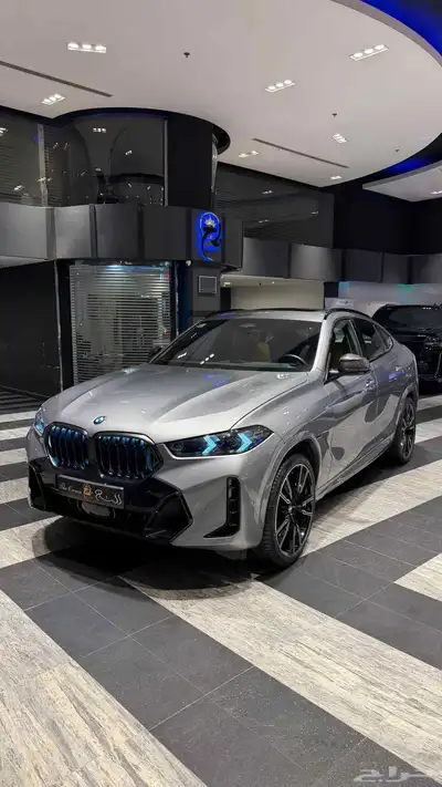 BMW X6 index