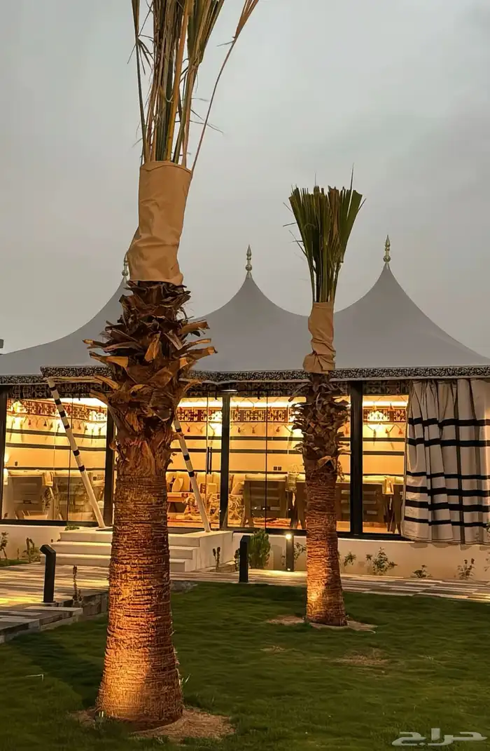 خيام الصقور الملكية 30