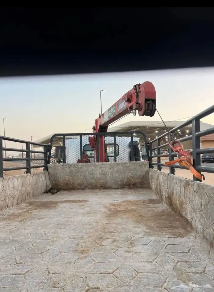 ديانه ايسوز باخشب 8