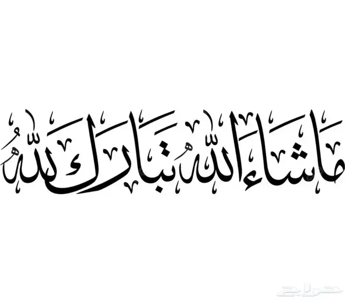 فورد كراون فكتوريا بوليسي 2010 (تم البيع) 2