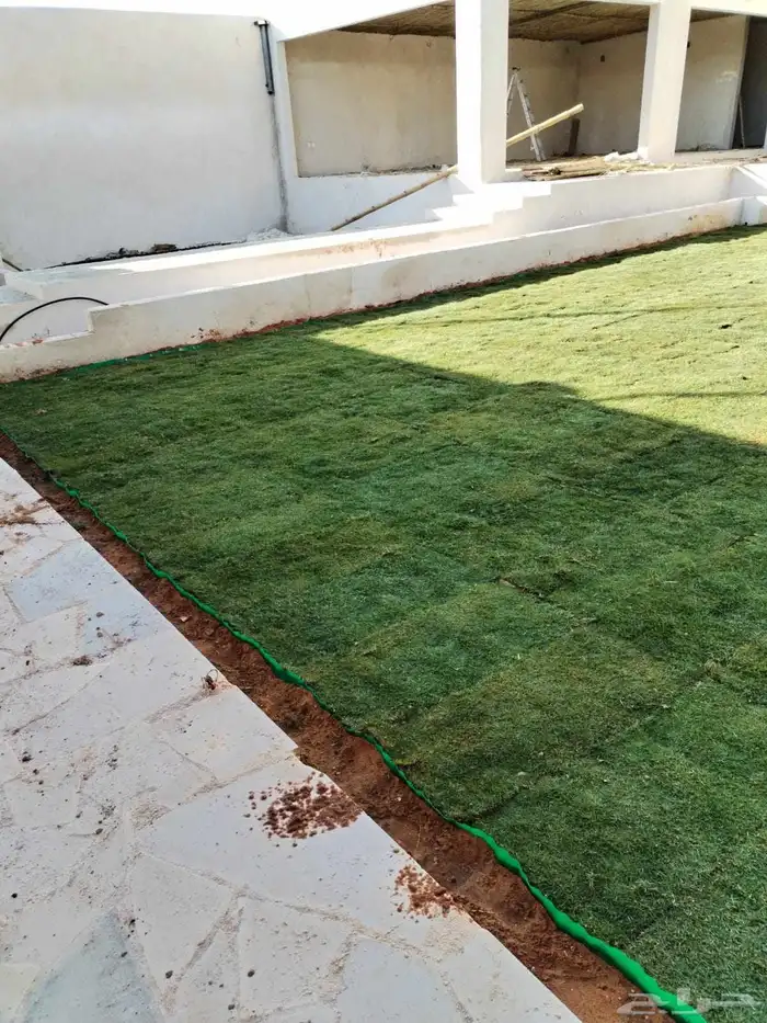 ثيل طبيعي سي 2000 و زرع طبيعي 3