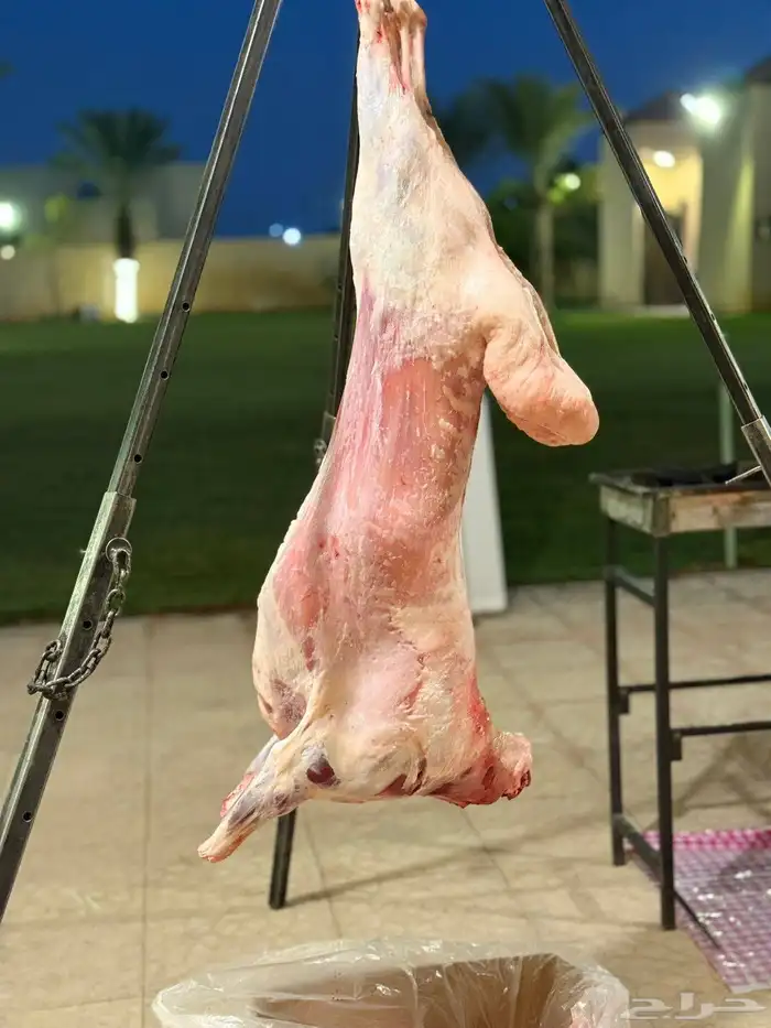 معلم مشويات شوي خارجي 0